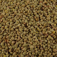 Linsen, braun - Lenticchie Umbre, Berglinsen, Umbrien, Bartolini, 500g