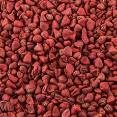 Annatto-Samen, vom Orleanstrauch, 1 kg