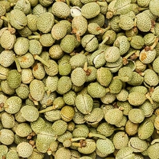 Sansho Pfeffer, ganz, gr�n, Japan, 100g