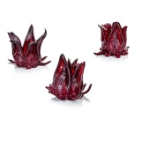 Wild Rosella, Bl�tenkelche vom wilden Hibiskus, TK, 1 kg, ca.100 St